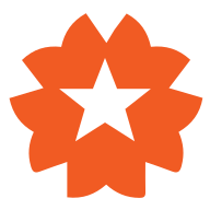 Star Charge Americas website icon